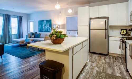 Well-lit kitchen with ample counter space Well-lit kitchen with ample counter space